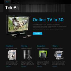 TeleBit